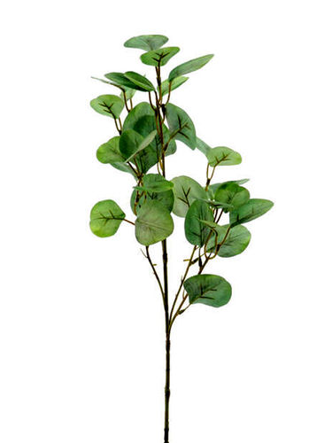 Eucaliptus x 60cm verde ( caja.24 )