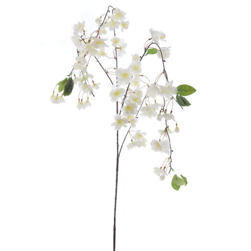 Cerezo Sakura x 90cm ( caja.6 )  blanco