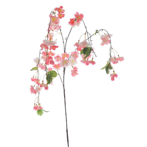 Cerezo Sakura x 90cm ( caja.6 )  rosa