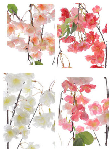 Cerezo Sakura x 90cm -- colores