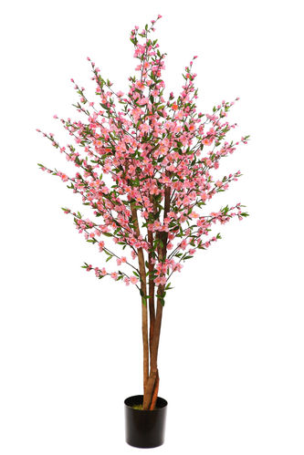 Cerezo tronco natural x 175cm  - rosa