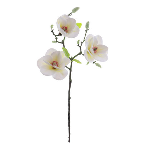 Magnolia x 3 flores x 62cm ( caja.6 )  crema