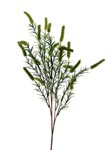 Cetaria rama/flor x 85cm ( caja.12 ) verde