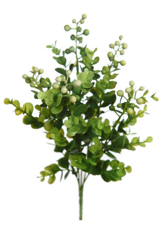Eucalipto bayas en ramo 28cm  verde ( caja.12 )