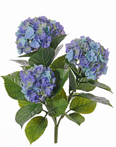 Hortensias x 5 tallos  x 36cm azul  ( caja.6 )