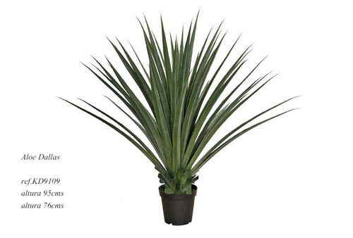 Aloe Dallas x 95cms ancho 75cm