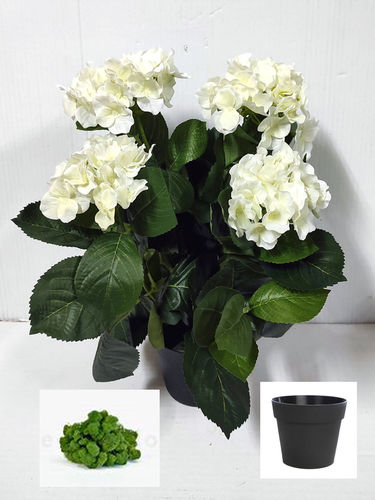 Hortensia mata x 6 flores x 40cms crema ( caja.4 )