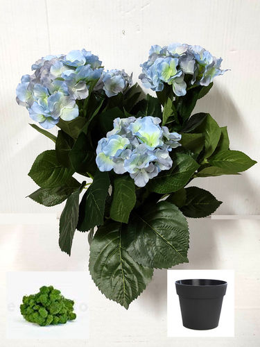 Hortensia mata x 6 flores x 40cms  azul  ( caja.4 )