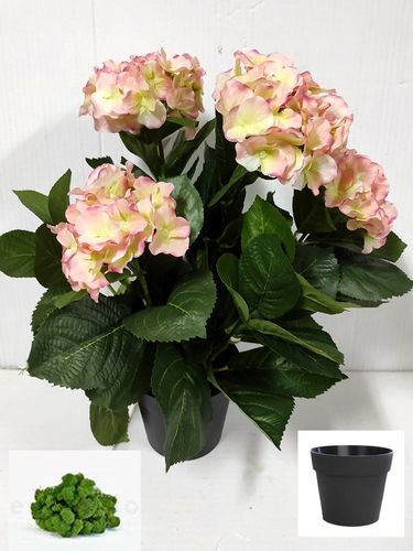 Hortensia mata x 6 flores x 40cms  rosa  ( caja.4 )