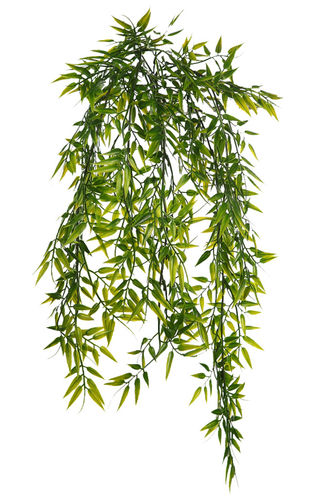Colgante Bamboo x 62cms  ( caja.6 )