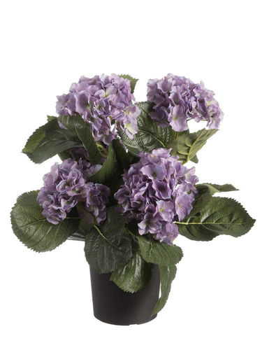 Hortensia mata x 6 flores x 40cms  Lilac   ( caja.4 )