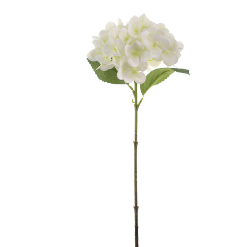 Hortensia vara x 72cms crema  ( caja.12 )