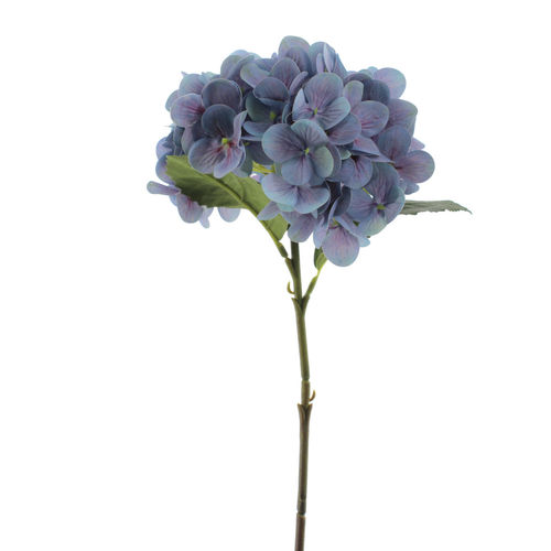 Hortensia vara x 72cms azul  ( caja.12 )