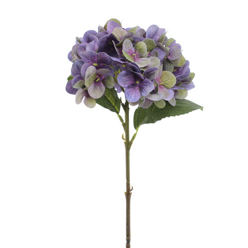 Hortensia vara x 72cms purpura  ( caja.12 )