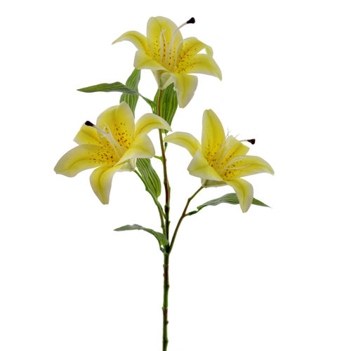 Lilium x 3 flores x 72cms amarillo tacto natural