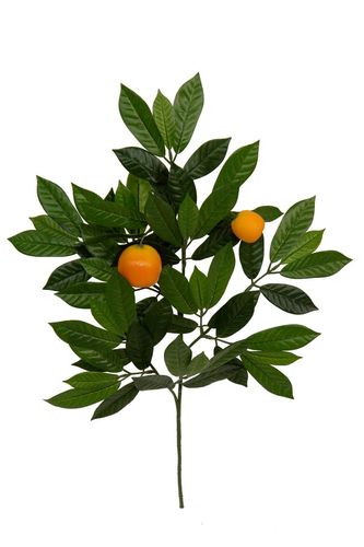 Naranjo, rama x 68cms con fruto - montaje arbol